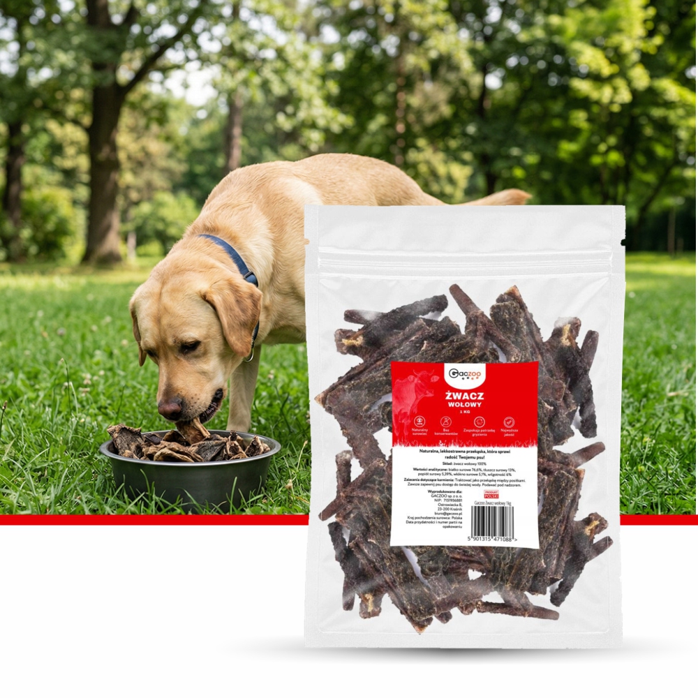 Przysmak dla psa Żwacz Wołowy 1 kg GACZOO naturalny gryzak smakołyk